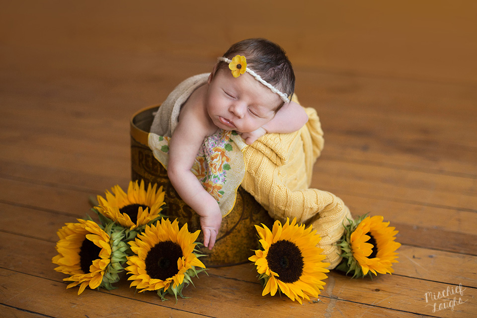 Sunflower Newborn Session, Rochester Newborn Photographer, Mischief and Laughs Photography