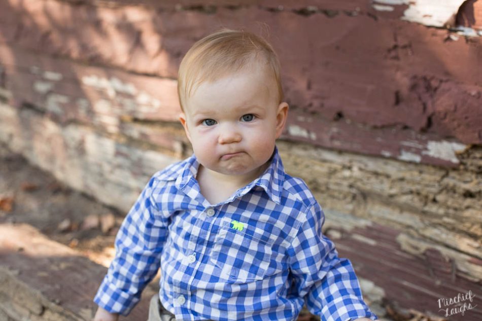 finger lakes baby photographer, Mischief and laughs
