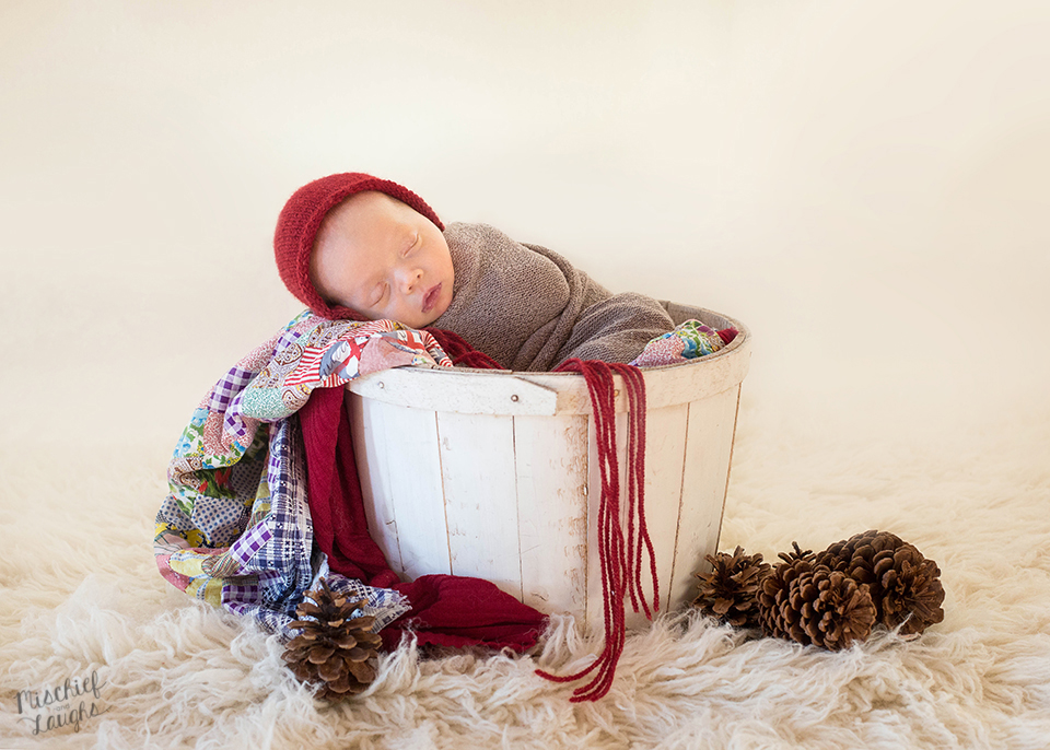 Christmas Newborn baby photographer Canandaigua NY, Mischief and Laughs Photography